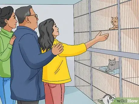 Imagen titulada Convince Your Parents to Let You Get a Cat (Teens) Step 11