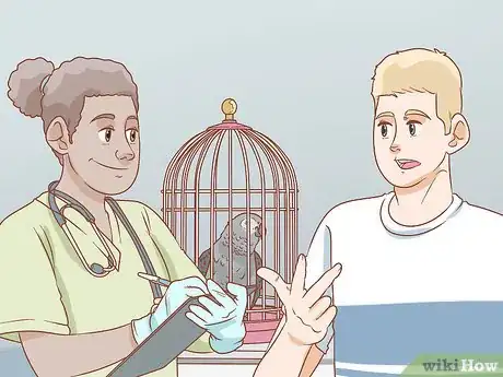 Imagen titulada Treat Respiratory Infections in African Grey Parrots Step 10