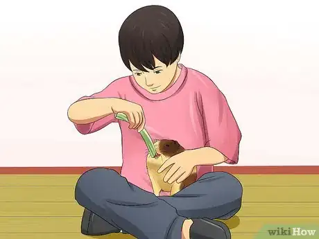 Imagen titulada Get Your Guinea Pig to Trust You Step 13