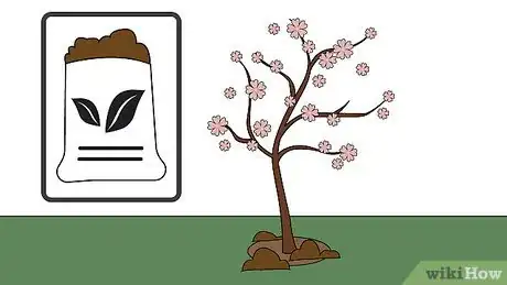 Imagen titulada Grow Almonds Step 7