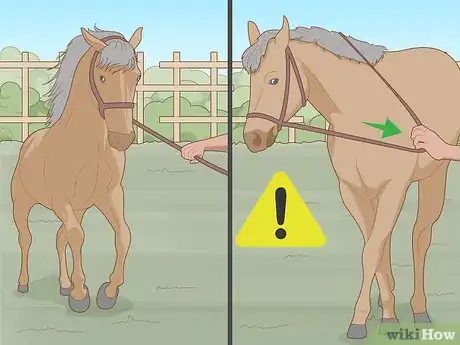 Imagen titulada Know if Your Horse Is Sick Step 9