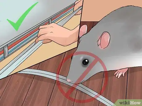 Imagen titulada Shoulder Train a Pet Rat Step 17