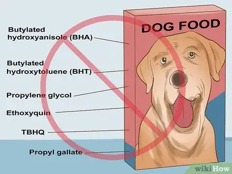 Imagen titulada Avoid Foods Dangerous for Your Dog Step 16