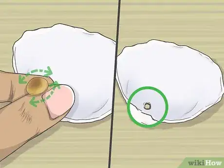 Imagen titulada Drill a Hole in a Seashell (Without a Drill) Step 5