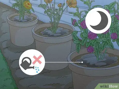 Imagen titulada Choose the Best Time for Watering a Garden Step 3