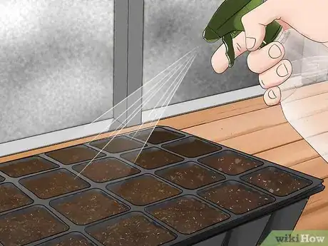 Imagen titulada Grow Rosemary from Seed Step 9