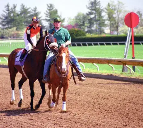 Imagen titulada Lexington Kentucky   Keeneland Race Track