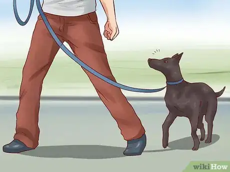 Imagen titulada Teach Your Dog Basic Commands Step 25