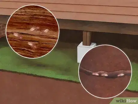 Imagen titulada Get Rid of Subterranean Termites Step 17