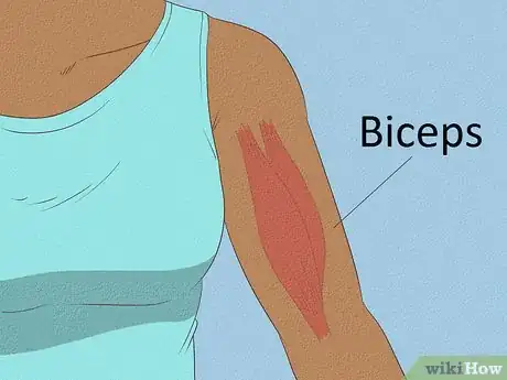 Imagen titulada Build Your Upper Arm Muscles Step 7