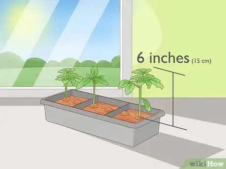 Imagen titulada Grow Tomatoes Upside Down Step 7