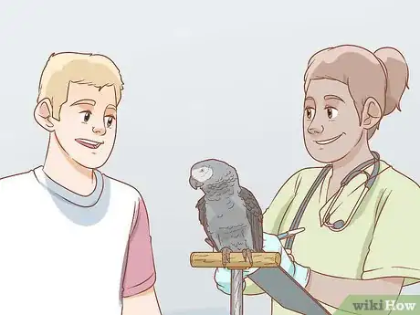 Imagen titulada Treat Respiratory Infections in African Grey Parrots Step 15