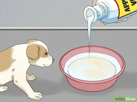 Imagen titulada Prevent Flea Bites Step 5