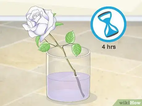 Imagen titulada Dye Roses Step 5