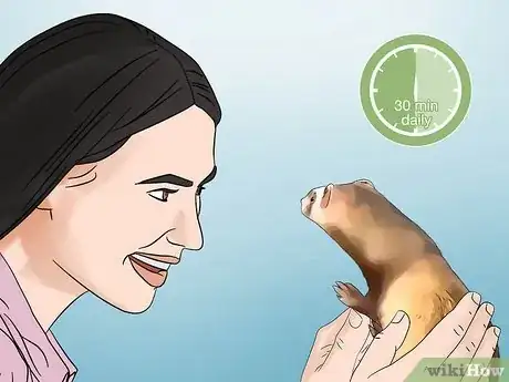 Imagen titulada Care for a Ferret Step 14