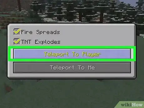 Imagen titulada Teleport in Minecraft Step 29