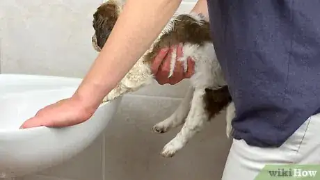 Imagen titulada Bathe a Puppy for the First Time Step 10