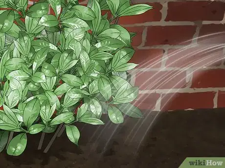 Imagen titulada Prune a Gardenia Bush Step 11