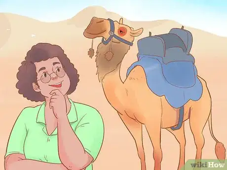 Imagen titulada Buy a Camel Step 18