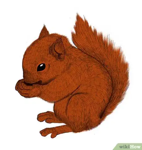 Imagen titulada Draw a Squirrel Step 10