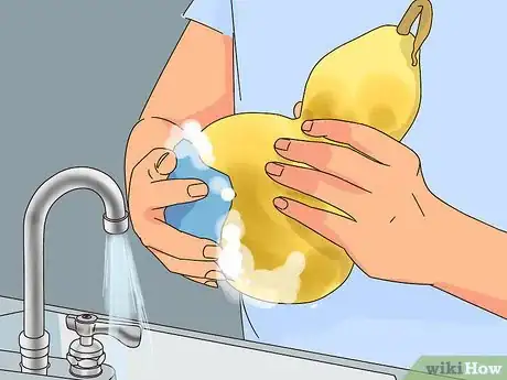 Imagen titulada Dry Gourds for Decorating Step 1