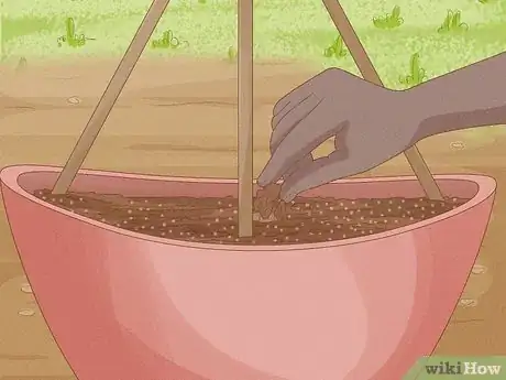 Imagen titulada Grow Cucumbers in Pots Step 11