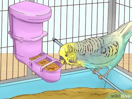 Imagen titulada Take Care of a Budgie Step 5