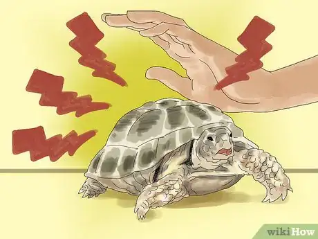 Imagen titulada Care for a Tortoise Step 6