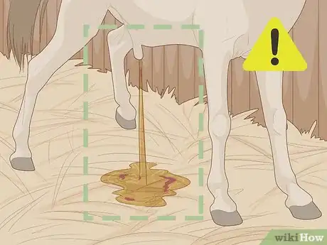 Imagen titulada Know if Your Horse Is Sick Step 5