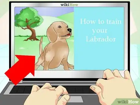 Imagen titulada Train Labrador Retrievers Step 9