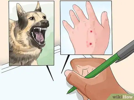 Imagen titulada Identify Rabies in Humans Step 8