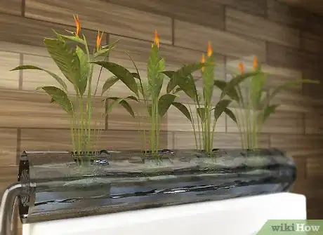 Imagen titulada Design a Successful Indoor Garden Step 9Bullet3