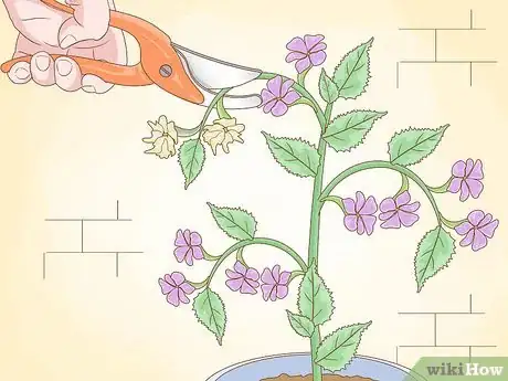 Imagen titulada Prune Houseplants Step 4