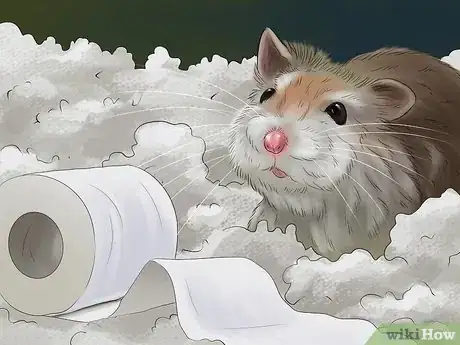 Imagen titulada Care for Hamster Babies Step 7