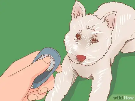 Imagen titulada Take Care of a West Highland White Terrier Step 11
