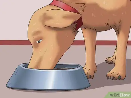 Imagen titulada Get Your Dog to Swallow a Pill Step 6