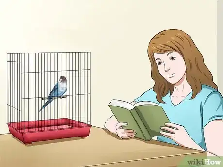 Imagen titulada Gain Your Parakeet's Trust Step 3