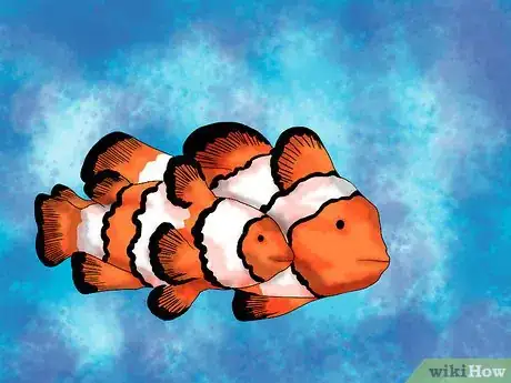 Imagen titulada Breed Clownfish Step 3