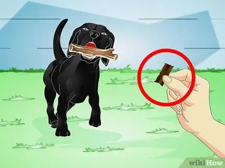 Imagen titulada Train a Naughty Labrador Step 11