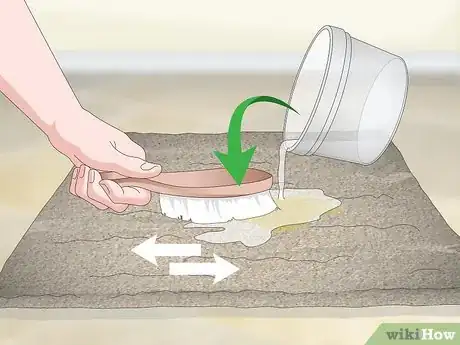 Imagen titulada Remove Old Dog Urine Stains Step 12