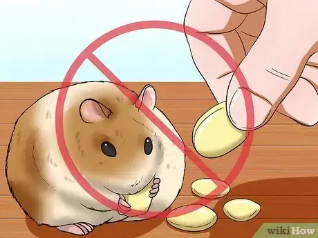 Imagen titulada Make Hamster Health Food Step 8