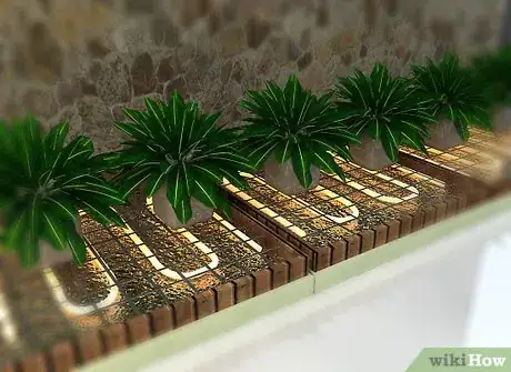 Imagen titulada Design a Successful Indoor Garden Step 3Bullet1