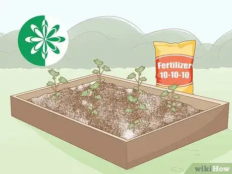 Imagen titulada Grow Grapes from Seeds Step 10