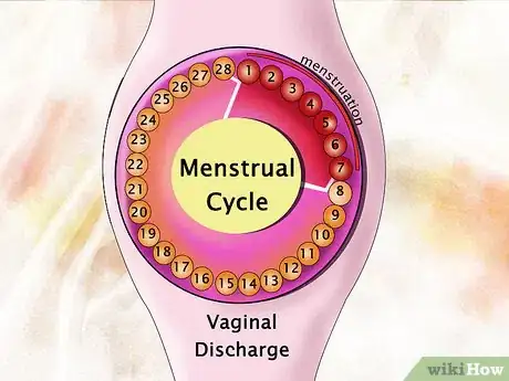 Imagen titulada Calculate Your Cycle Length Step 09