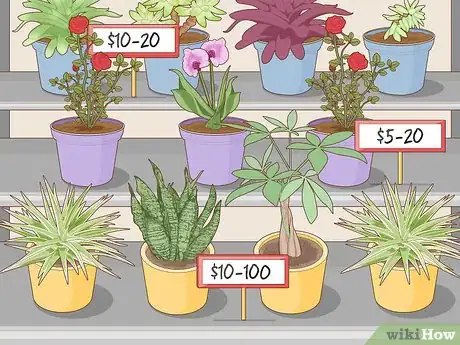 Imagen titulada Start a Plant Nursery Business Step 8
