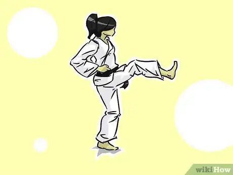 Imagen titulada Perform Mae Geri (Shotokan Karate) Step 4