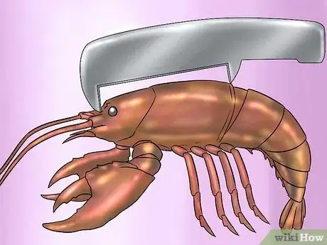 Imagen titulada Catch Lobsters Step 15