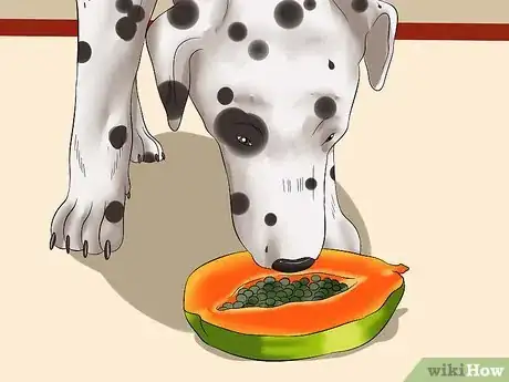 Imagen titulada Treat Dog Worms With Food and Herbs Step 10