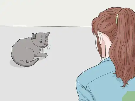 Imagen titulada Convince Your Man to Get a Cat Step 15