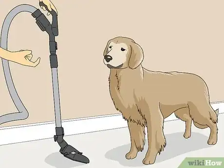 Imagen titulada Vacuum Your Dog Step 3